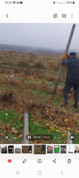 Șpalieri de beton și Șpalieri zincați  adică metalici