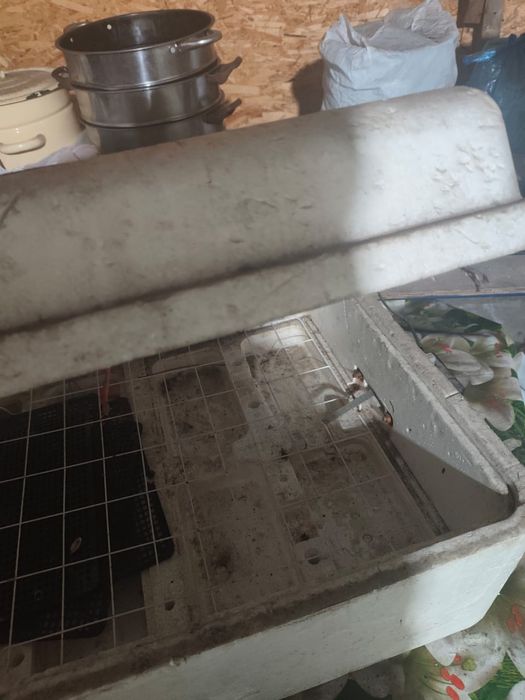 Продам инкубатор