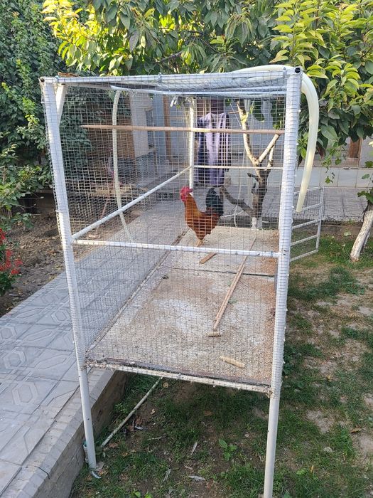 Кафаслар сотилади