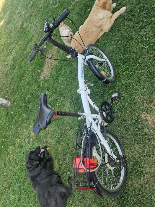 Bicicletă pliabila WAYSCRAL