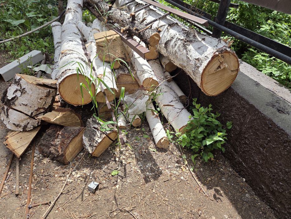 Бревна свежие, разного размера