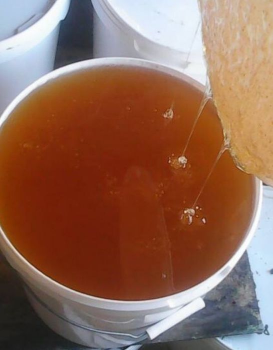 Мед майский 2025года