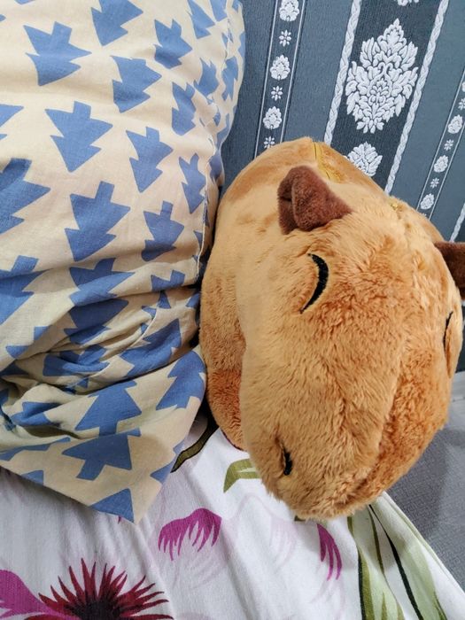 Продам  зко аксай