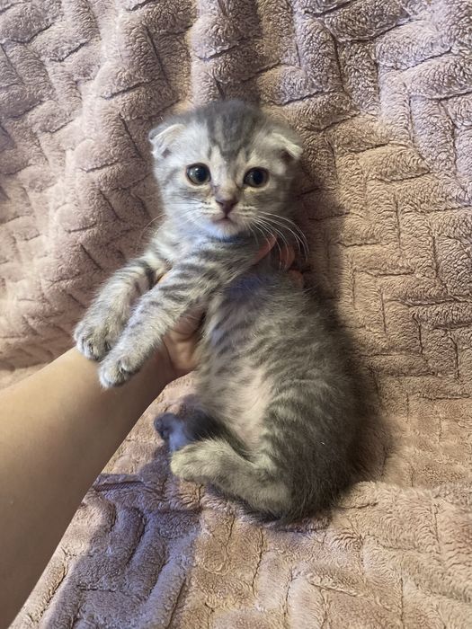 Обмен на планшет