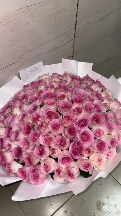 Свежая розовые 101 роза