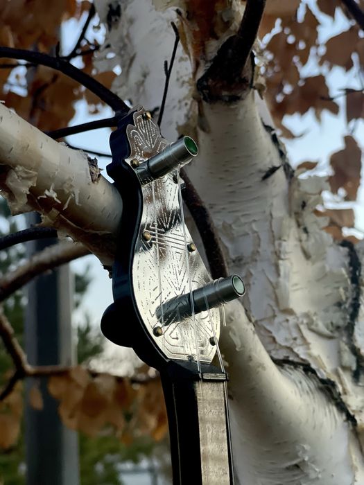 В продаже профессиональные домбры оптом и в розницу