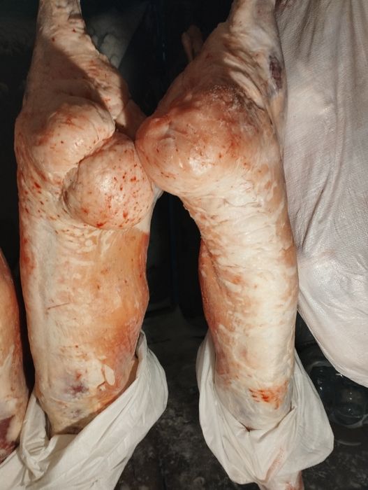 Продам мясо баранина