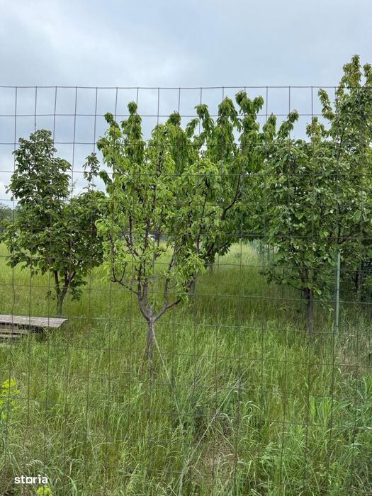 Teren In Valea Ursului, Str. Petalelor 612 Mp