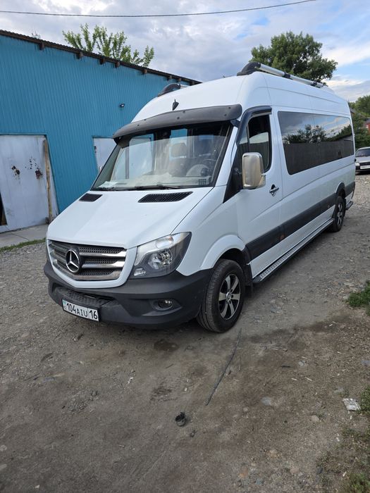 Перевозка пассажиров