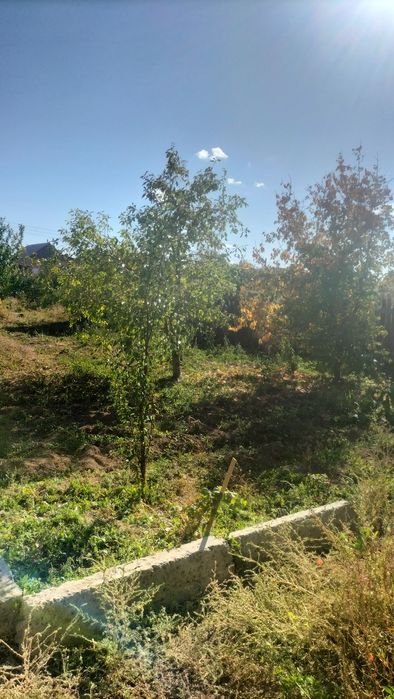 Дача Восток Нуртөбе