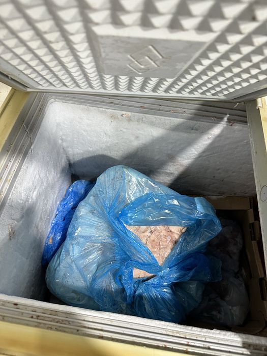 Морозильный ларь Lotos