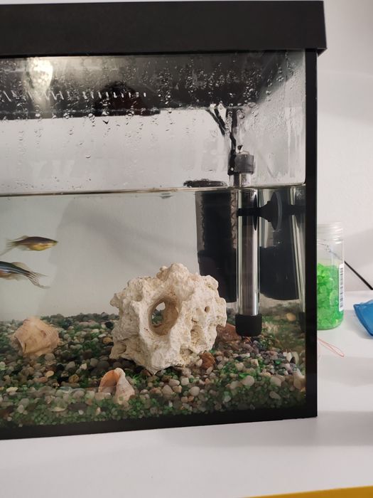Acvariu 60l, Aquael