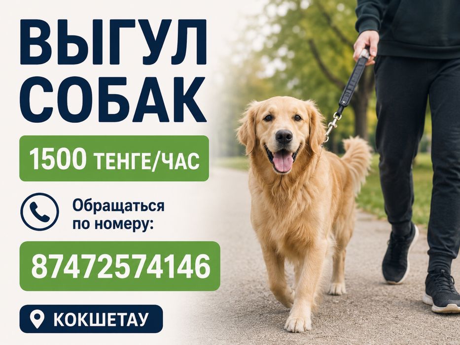 выгул собак не дорого