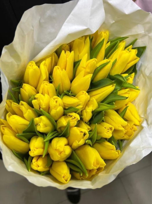 Предзаказ на тюльпаны к 8 марта