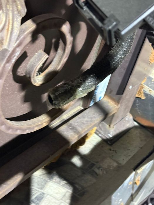 Фикс велик новый