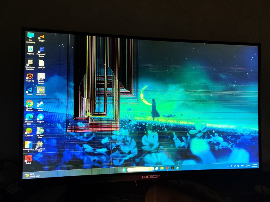 Монитор Facecom 165hz 27"