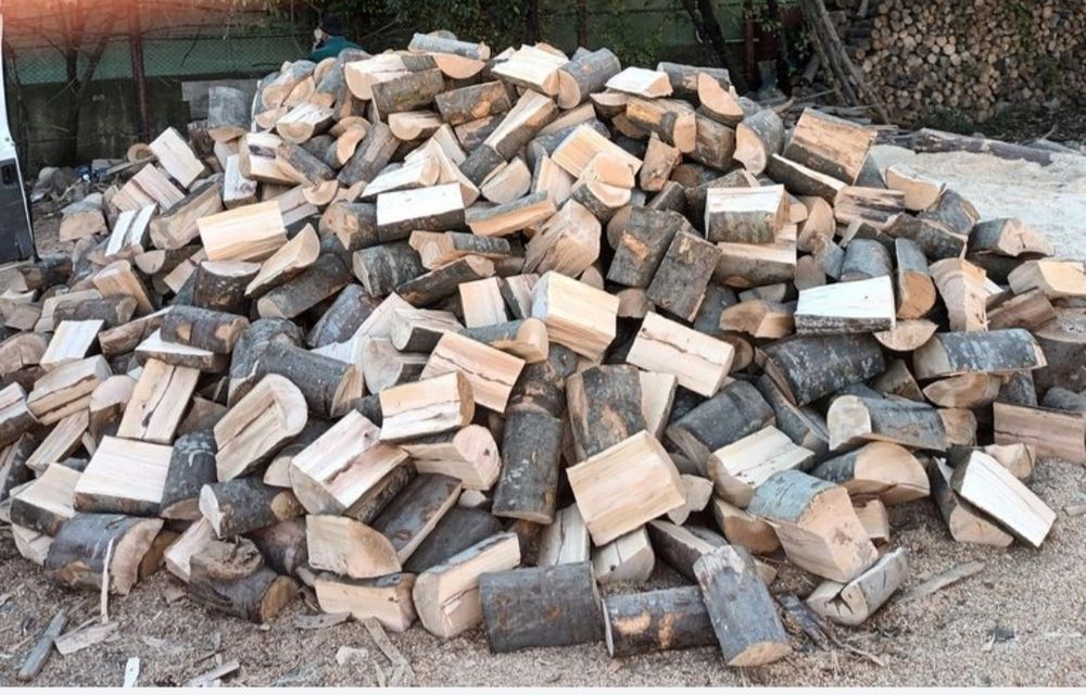 Lemn de foc fag 600 tona sau la metru ster