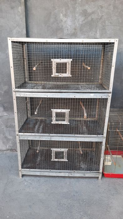 Qafas srochno sotiladi