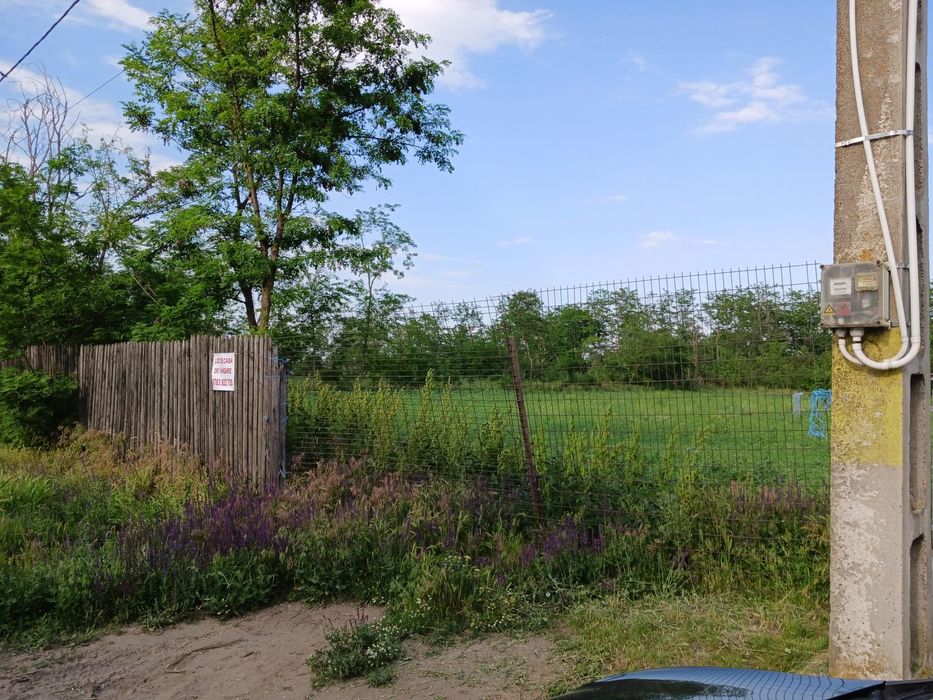 Vând teren intravilan Caltuna