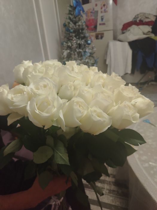 Гул шоқтары сатылады