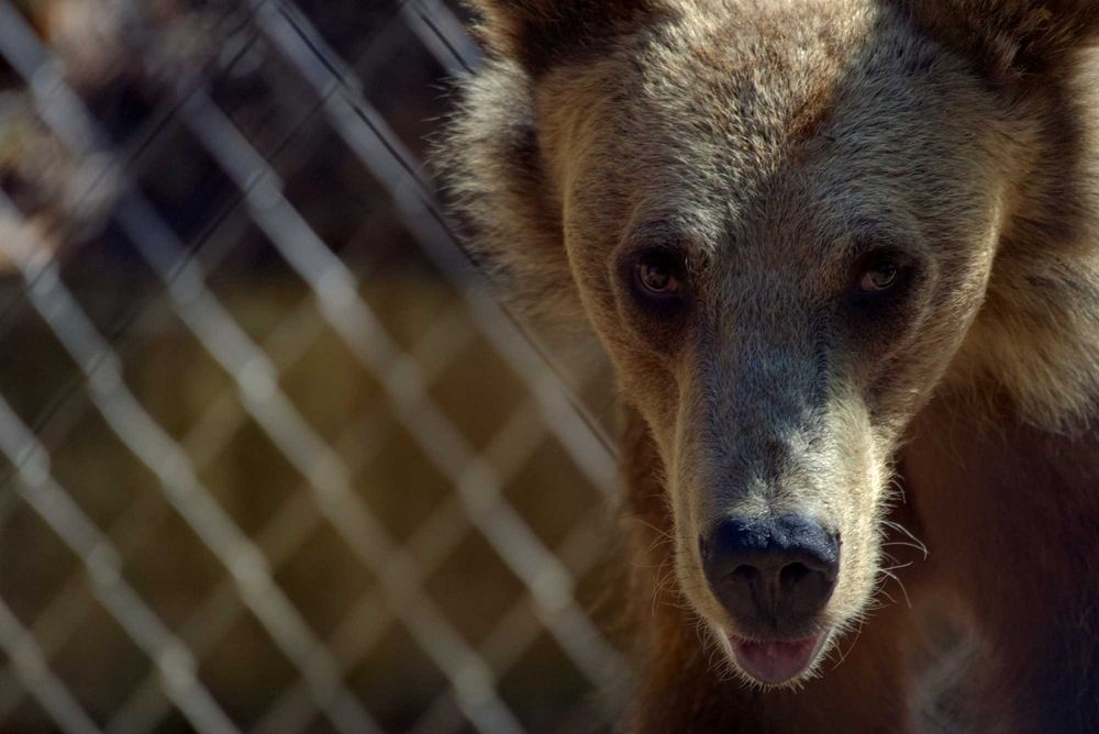 Обектив Tamron 70-300mm f/4.5-6.3 за SONY Full Frame