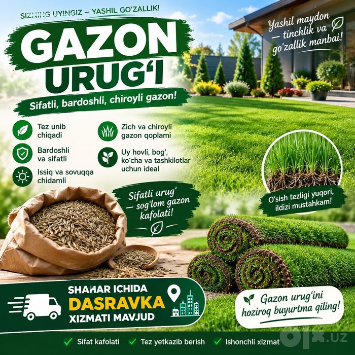 Gazon urug' sotiladi turli xillari