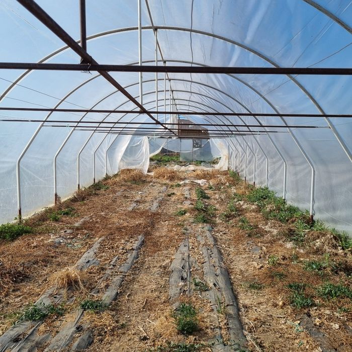 Vând Solar agricol