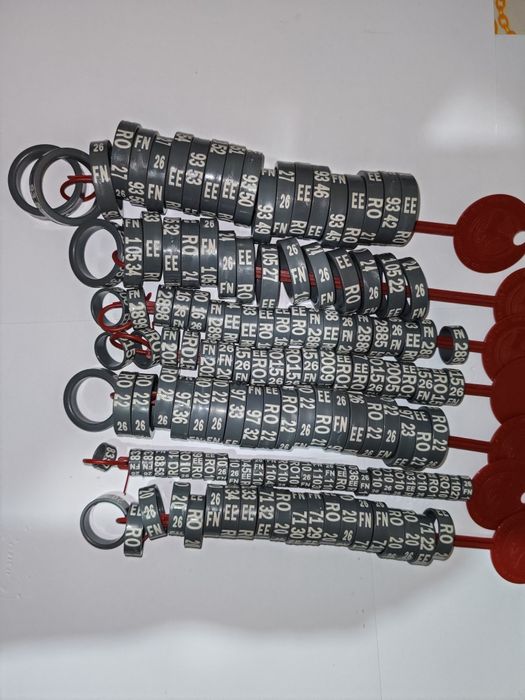 Inele pentru găini de rasă