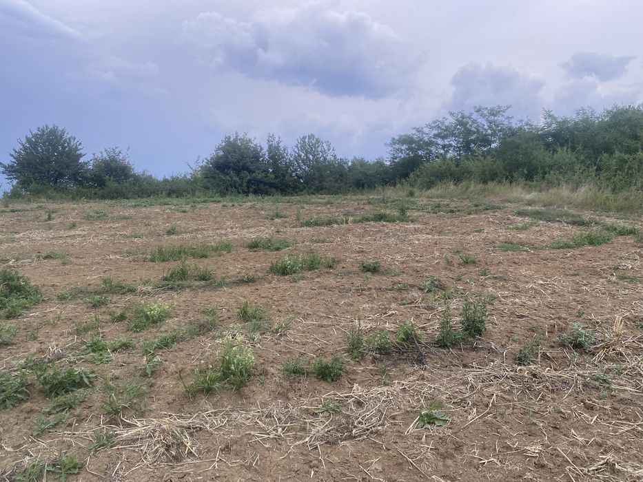 Teren watman 1500 m2