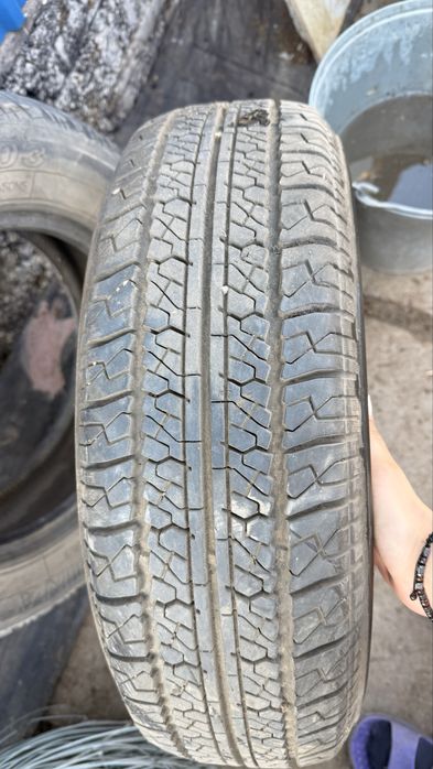 Продам баллоны что на фото