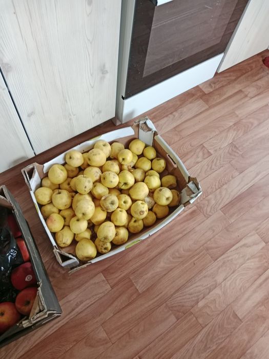 яблоки доставка бесплатная