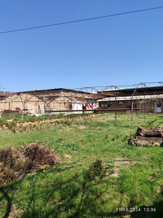 ер сотилади 6 сотох