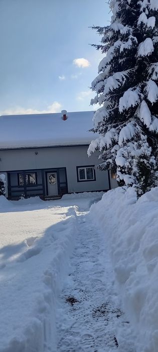 Cabana de închiriat.