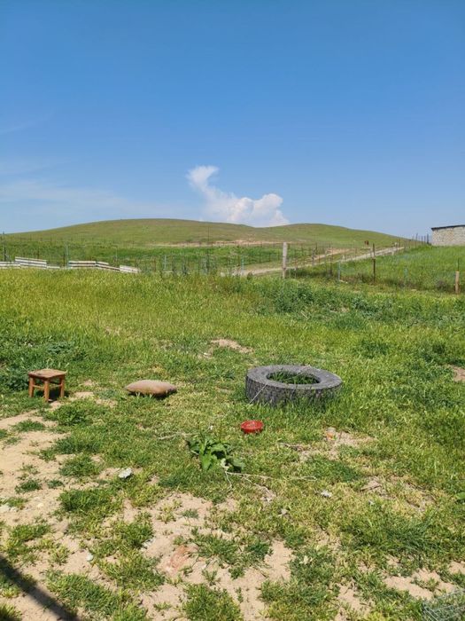 Помещение для фермы в аренду