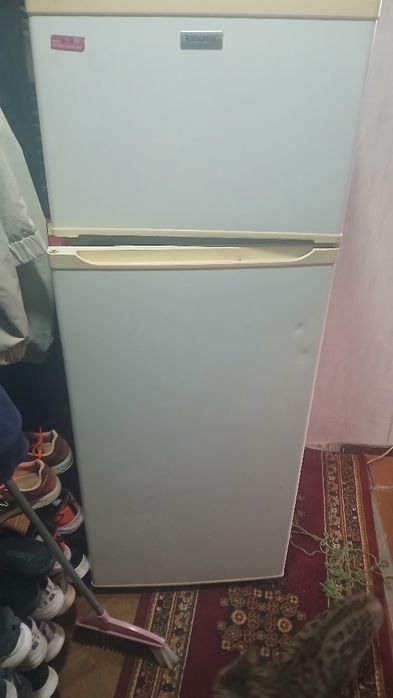 Холодильник  Роисон