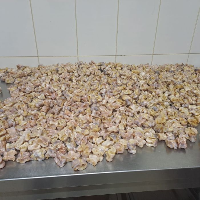 Асык бар 350 тенгеден ASTANA