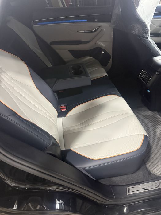 byd chempion 2024