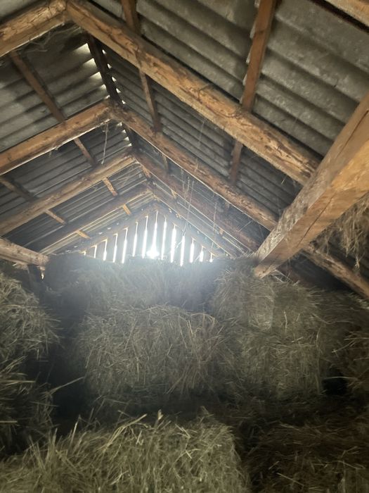 Baloti de fan si otava