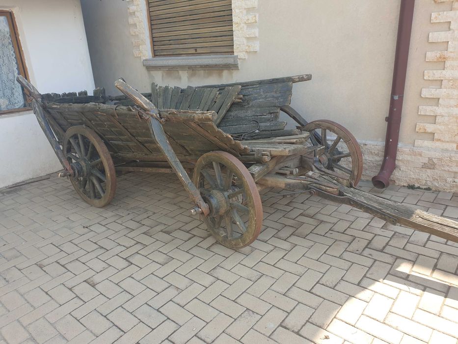 Car cu boi autentic.Tigle Elpreco