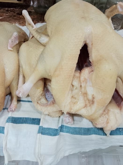 Мясо домашней утки