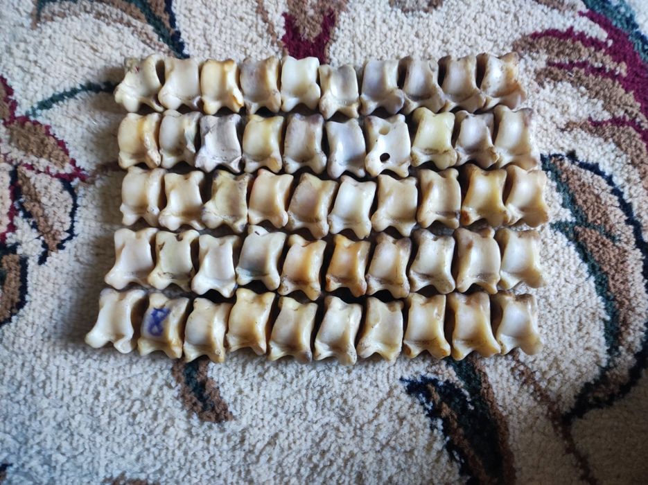 Асық асык asik  асыық