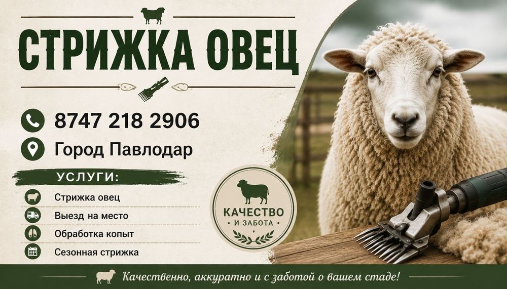 стрижка овец, баранов