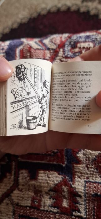 1987 г. Джобен италиански наръчник с домакински съвети