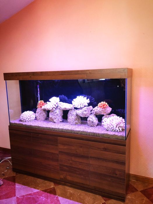 Аквариум на заказ / Изготовление аквариумов