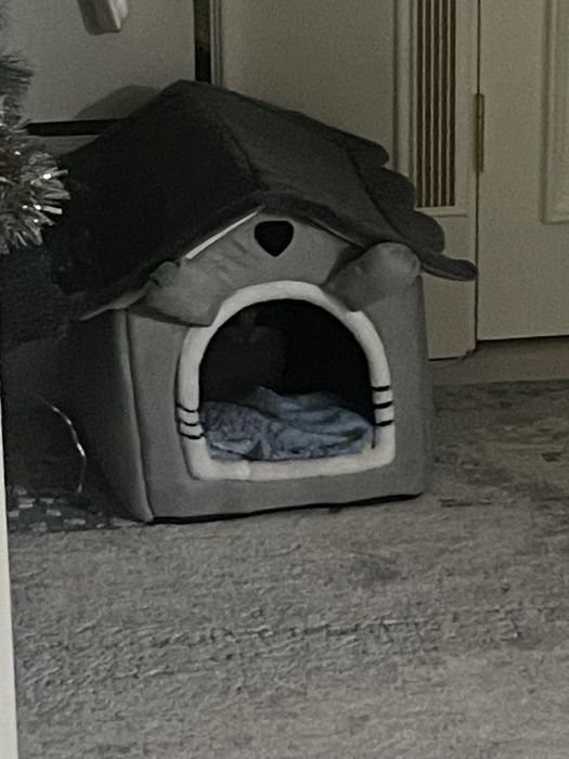 Домик для животных