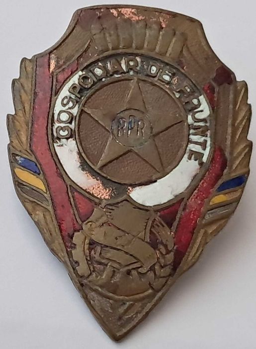 Insigna gospodar de frunte