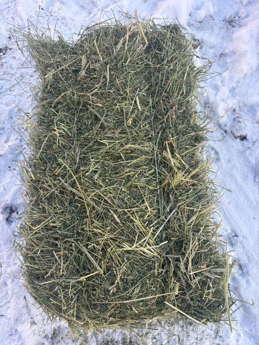 Продам сено, чистая люцерна