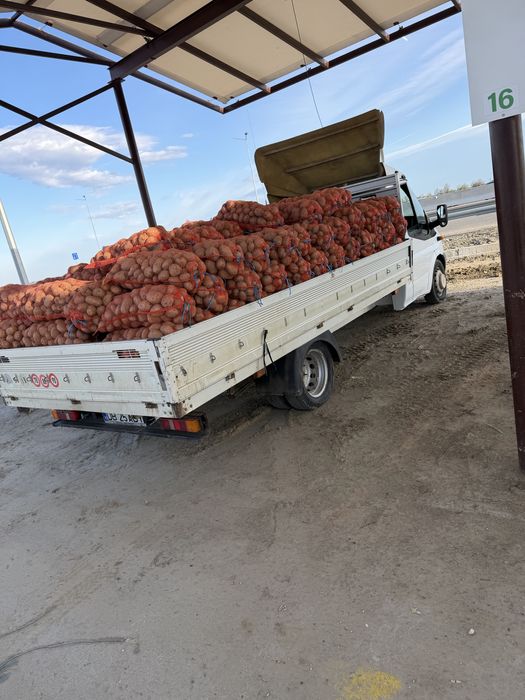 Vand Cartof alb consum, soi riviera. Cantitate diponibila 5 tone .