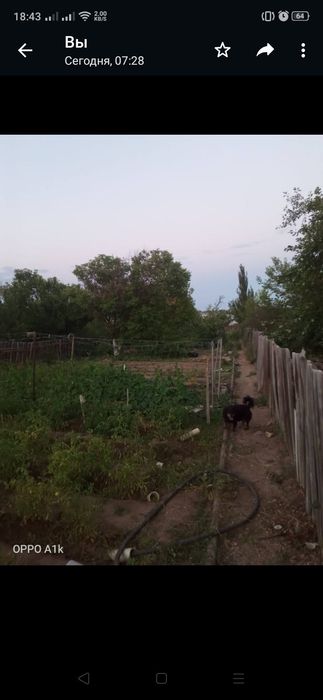 Продаётся дача на берегу солёного озера - Изглед 6
