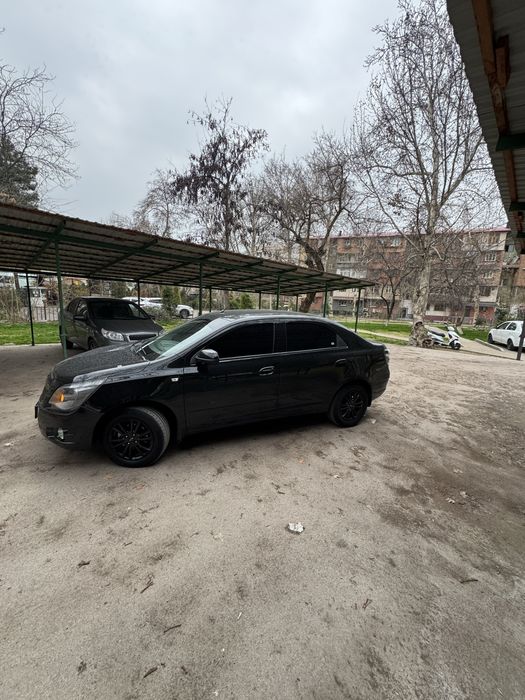 Cobalt 2025 Midnight